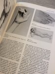 Kingma - Nederlands leerboek der orthopedie / druk 2