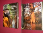 Michael Goulding - Amazone, De overstroomde wouden