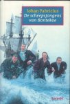Fabricius, Johan - De Scheepsjongens van Bontekoe, 398 pag.  hardcover, gave staat (80 Jaar Musicaleditie)
