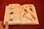 Cerny, Walter - Welke vogel is dat? Een gids voor vogelliefhebbers Cerny, Walter - Welke vogel is dat? Een gids voor vogelliefhebbers