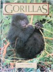 Sara Godwin 41641 - Gorillas