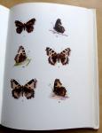 Russwurm, A.D.A. - Aberrations of British Butterflies
