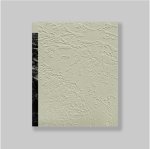 Severein, Rob (Amsterdam, 1964) - - Foorbij Nij Altoenae - Past Nij Altoenae.