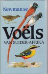 Newman, Kenneth - Voëls van Suider-Afrika