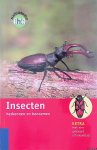 Bellmann, Heiko - Insecten: herkennen en benoemen