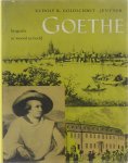 Rudolf Karl Goldschmit-Jentner B Teesing-Koster Jan Aler - Goethe