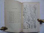 Herklots, J.A.. - Natuurlijke historie van Nederland, deel II; de weekdieren en lagere dieren.