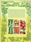 Seabrook, Peter  .. Illustraties van Brian Edwards , Vertaling door Ben Beekman .. Ontwerp Nicholas Maddren - Het complete groente-boek, alles over zelf groenten kweken . . Met vele schitterende kleuren illustraties