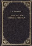 Ridder, Ds. C. de - Gods belofte heerlijk vervuld Ridder, Ds. C. de - Gods belofte heerlijk vervuld
