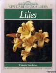 Matthews, Victoria - Lilies