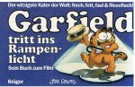 Davis, Jim - Garfield tritt ins Rampenlicht - sein Buch zum Film