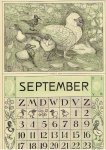 HOYTEMA, Theo van [HOIJTEMA] - Kalenderblad T. v. Hoytema - Kaapsche eend - september  - kalenderjaar 1915.
