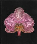 Harold Feinstein - Orchidelirium