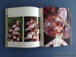 Danesch, Edeltraud et Othmar. - Nos orchidées. Europe occidentale et centrale. Danesch, Edeltraud et Othmar. - Nos orchidées. Europe occidentale et centrale.