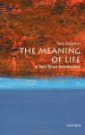 Terry (john Edward Taylor Professor Of English At The University Of Manchester) Eagleton - The Meaning Of Life: A Very Short Introduction