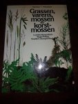 Phillips, Roger Stumpel-Rienks - Grassen, varens, mossen en korstmossen