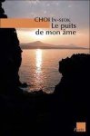 In-Seok Choi - Le puits de mon âme