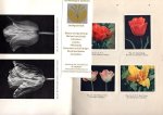 Slogteren, prof. dr. E. van; dr. Maria P. de Bruyn Ouboter - Onderzoekingen over virus-ziekten in bloembolgewassen. II. Tulpen. I