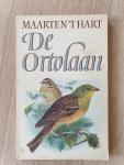Hart, Maarten 't - De ortolaan