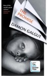 Damon Galgut - Promise