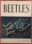 REITTER, EWALD. - BEETLES