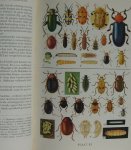 KALSHOVEN, L.G.E. & J. VAN DER VECHT, - De plagen van de cultuurgewassen in indonesie.2 delen.