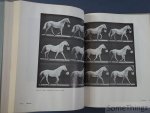 Eadweard Muybridge. - Muybridge's complete human and animal locomotion. All 781 plates from the 1887 Animal Locomotion by Eadweard Muybridge. [3 vol.]
