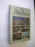 Ward, Patrick / Brijssinckx, L. vert. - Bike Riders, de wereld van de snelle machines