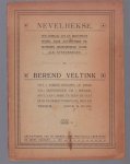Albert Steenbergen - Nevelhekse : een verhaal uit de Drentsche venen - Berend Veltink oet t Emmer kerspel op reize.....