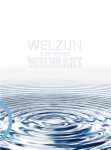 Reinier Castelein - Welzijn is de nieuwe welvaart