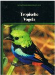 Bouland, Birgitta  -  Eindredactie - Tropische vogels