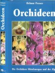 Presser, Helmut - Orchideen, die Orchideen Mitteleuropas und der Alpen ..  een boek om in te grasduinen dus uren Orchideeën plezier