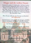 Akunin, Boris - Pelagia und die weißen Hunde (DUITSTALIG)