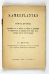Boon, B. - Kamerplanten in school en huis (2 foto's)