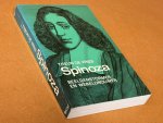 Theun de Vries - Spinoza, beeldenstormer en wereldbouwer
