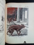 Feith, Jan - De Vrede in Prent, politieke karikaturen/cartoons uit verschillende landen [Nederland, Frankrijk, Engeland, Amerika, Duitschland]