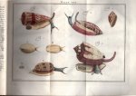 Houttuyn, Maarten - Natuurlyke historie of uitvoerige beschryving der dieren, planten en mineraalen (...). Zestiende stuk: de hoornen [schelpen]