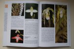 Jezek - encyclopedie: Geillustreerde Orchideeen Encyclopedie informatieve tekst met vele honderden schitterende kleurenfoto's