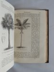 Thome, Otto Wilhelm - Lehrbuch der Botanik : für Realschulen, Gymnasien, forst- und landwirthschaftliche Lehranstalten, pharmaceutische Institute etc. sowie zum Selbstunterrichte