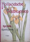Kalshoven-Biermans, E. - Hollandsche veldbloemen: kleurboek - 1e Série