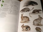 Francis, CM - A Field Guide to the Mammals of South-East Asia Francis, CM - A Field Guide to the Mammals of South-East Asia