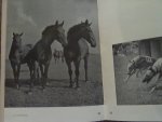 Helfferich D. Redactie - Nederlands Jaarboek voor Fotokunst 1948-49. Over Nederlandse fotografen