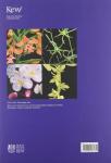 Hermans, Johan, Hermans, Clare, Puy, David Du - Orchids of Madagascar / (second edition)