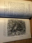 Aves, JH - De Practische Vogelvriend - handboekje voor verzorging in- en uitlandsche kamervogels