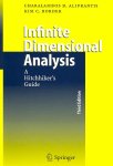 Aliprantis, Charalambos D. - Infinite Dimensional Analysis A Hitchhiker's Guide