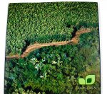 C. Schleder - A decade in teak