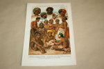  - Antieke kleuren lithografie - Volkeren / Volkstypen van Australië - circa 1905