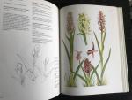 Landwehr, J. - Wilde Orchideeën van Europa, 2 delen