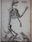 Cornelius van Dyk - Osteologia of nauwkeurige geraamt beschryving van verscheyde dieren Cornelius van Dyk - Osteologia of nauwkeurige geraamt beschryving van verscheyde dieren