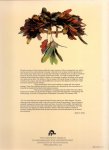 Reina, Ruben E., K.M.Kensinger (ds1255) - The Gift of Birds / Featherwork of Native South American Peoples